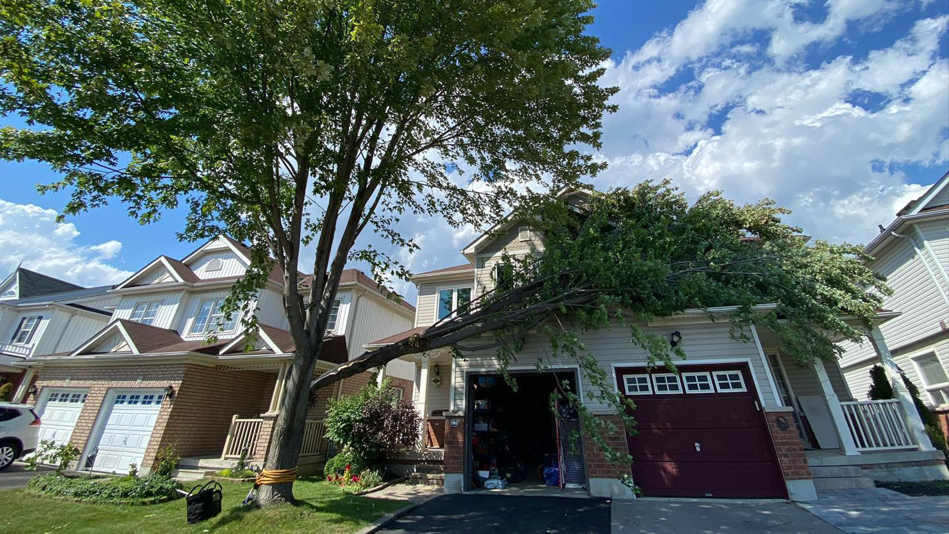 Storm Damage of tree on a house