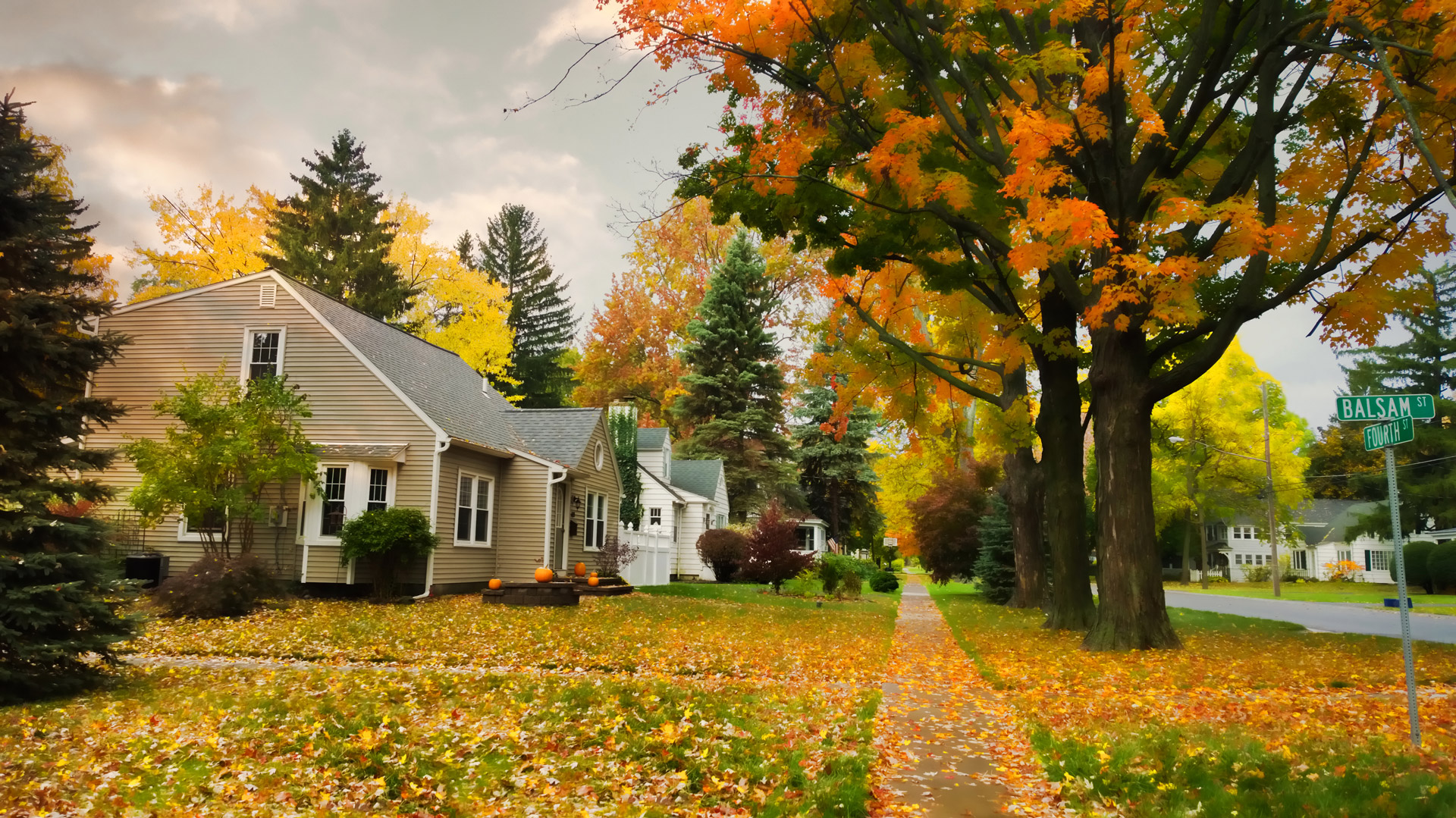 Urbran Forest street scene in the Fall